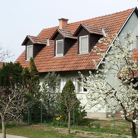 Gyula-Tanya Vendeghaz Villa Csongrad Ngoại thất bức ảnh